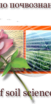 parva_202